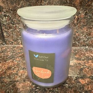 SoftOwl Handmade Upcycled Multiple Wicks Lilac Wax Candle Purple - Imperfect